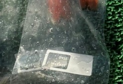 10/30(木)🐟釣果報告🐟