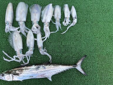 10/12（日）🐟釣果報告🐟