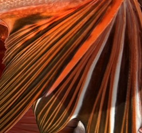 11/16(日)🐟釣果報告🐟