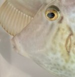 11/23（日）🐟釣果報告🐟