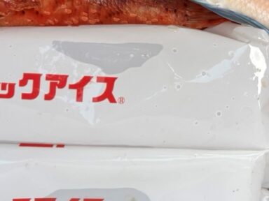 10/31(金)🐟釣果報告🐟