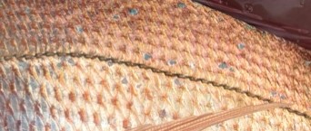 11/27（木）🐟釣果報告🐟