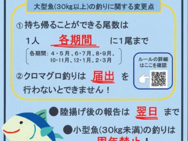 クロマグロ遊漁に係るお知らせ