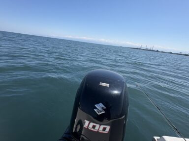 レンタル会員の釣果