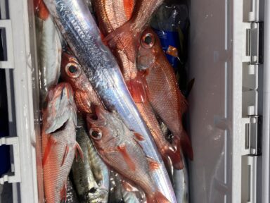 7月中旬 レンタル艇&オーナー様の釣果!