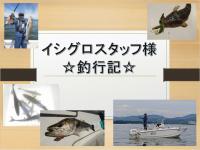 【浜名湖　釣果】イシグロスタッフ様の釣行記その6（レンタルボート）