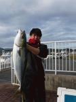 三河湾 青物祭り開催中！