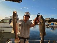 【浜名湖っていつどんな魚が釣れるの？】年間魚種別 釣果カレンダー！｜レンタルボート