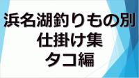 【浜名湖　釣果】浜名湖釣りもの別仕掛け集「タコ編」（レンタルボート）