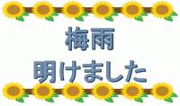 愛知県三河湾　風予報＆梅雨明け