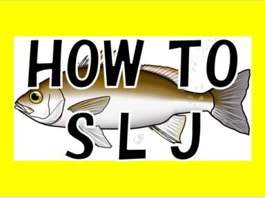 【スズキマリーナ熊本】HOW　TO　SLJ