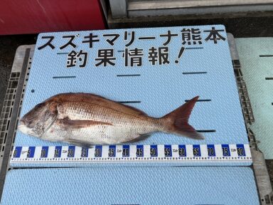 【スズキマリーナ熊本】70ｃｍの大型真鯛（レンタルボート）