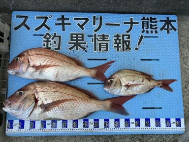 【スズキマリーナ熊本】タイラバで真鯛（レンタルボート）