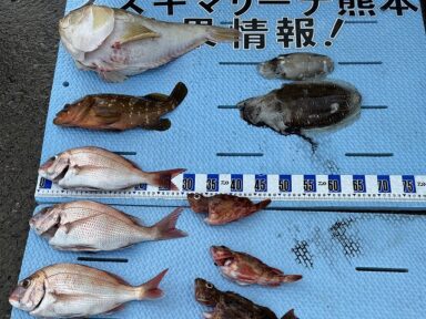 【スズキマリーナ熊本】真鯛にキジハタ！＆またあの珍魚（レンタルボート）