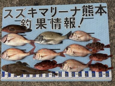 【スズキマリーナ熊本】涼しくなってきましたが、釣果は熱い!(レンタルボート)