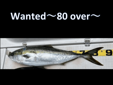 12月開催 操船＆釣り講習会のお知らせ