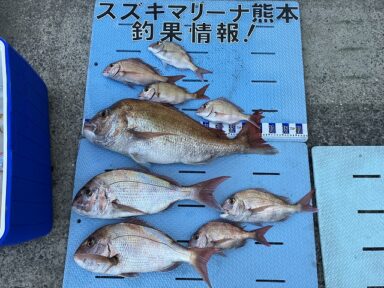 【スズキマリーナ熊本】出ました！大鯛！（レンタルボート）