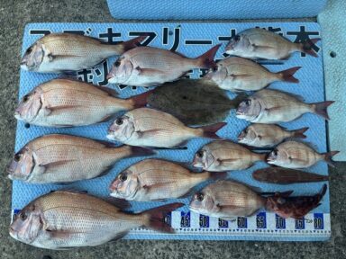 【スズキマリーナ熊本】真鯛＆ヤズ＆太刀魚（レンタルボート）