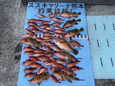 【スズキマリーナ熊本】根魚祭り！（レンタルボート）