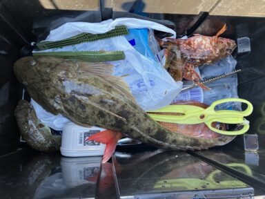 【スズキマリーナ熊本】泳がせでデカマゴチ（レンタルボート）