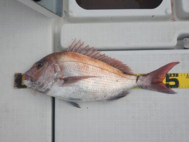 今日のMVP（三河御津クラブ会員様）