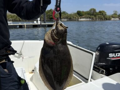 【スズキマリーナ浜名湖】釣りシーズン突入！