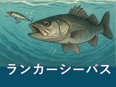 スタッフOの釣りブログ（ランカーシーバス）
