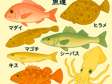 三河湾　5月釣れている魚達