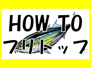【スズキマリーナ熊本】HOW TO ブリトップ