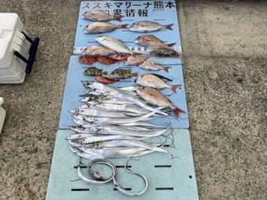 【スズキマリーナ熊本】今年は、太刀魚が少し上向きに?(レンタルボート)