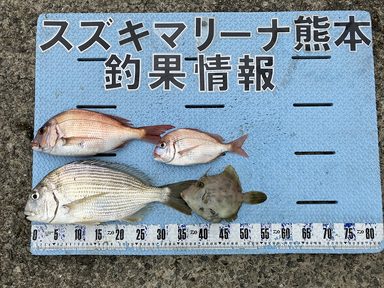 【スズキマリーナ熊本】カワハギも狙いたい季節に（レンタルボート）