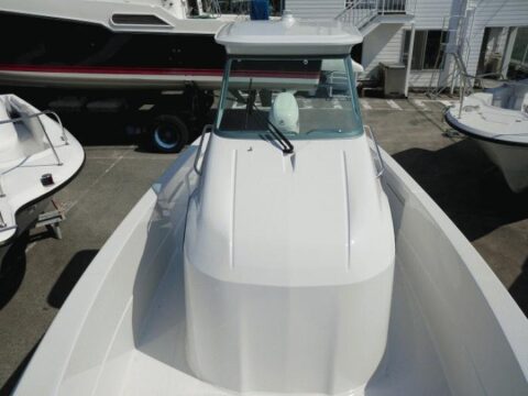 SUZUKI MARINE Exante