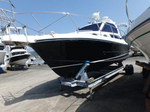 Piquljan Marine   Rab720