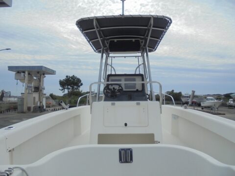 スズキ アグレッサー