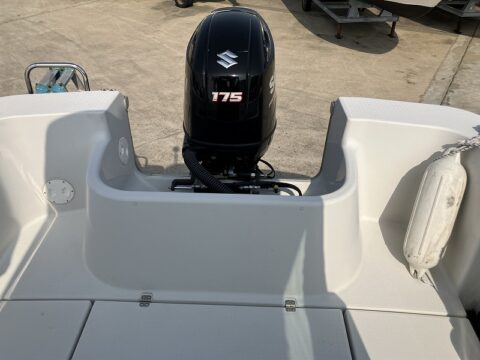 スズキマリン　 Migrator