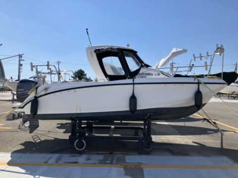 ヤマハ　SRX20