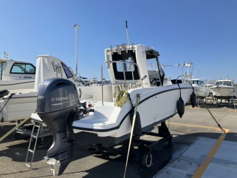 ヤマハ　SRX20